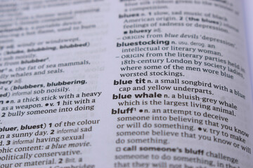 Close Up Of English Dictionary Page With Definition Word -Blue Tit