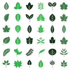 Leaf icon set vector, Leaf Logo Design
