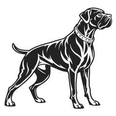 Majestic Boxer Dog Vector Illustration Portraying Strength and Elegance a Timeless Design for Canine Enthusiasts and Graphic Applications Alike
