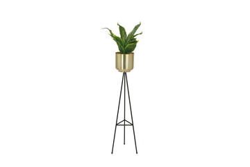 Metal rack with golden flowerpot isolated on white. Home design interior