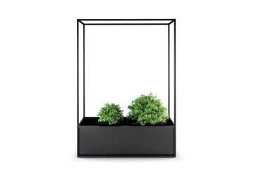Green houseplant in black metal rack isolated on white