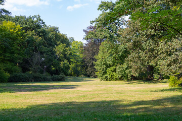 summer green parks on a clear day, green trees and green grass
