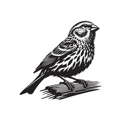 bird on a branch