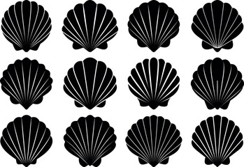 Collection of seashells isolated on white background showing a variety of shapes
