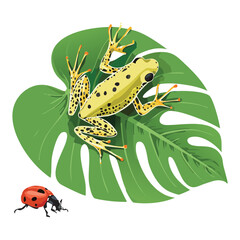 Vibrant Poison Dart Frog on Foliage