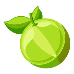 Clean Design Desert Lime Fruit Vector on White