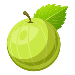 Clean Design Indian Gooseberry Vector on White