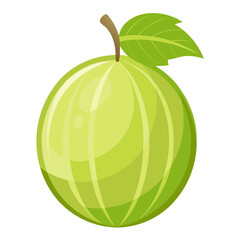 Modern Indian Gooseberry or Amla Vector Graphic