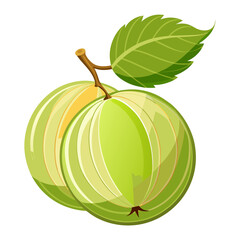 Simple Amla Fruit Illustration for Ayurvedic Concepts