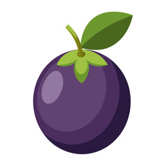 Clean Design Jaboticaba Fruit Vector on White