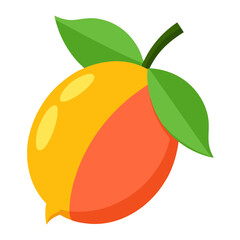 Clean Design Langsat Fruit Vector Illustration
