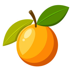 Clean Design Loquat Fruit Vector on White Background