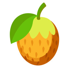 Modern Spiky Marang Vector Graphic in a Clean Style