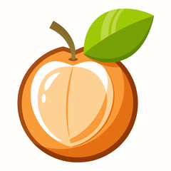 Simple Cotton Fruit or Santol Illustration