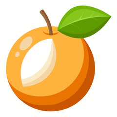 Clean Design Santol Fruit Vector on White