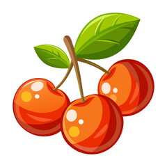 Simple Pitanga or Surinam Cherry Illustration