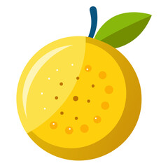 Clean Design Yellow Passion Fruit Vector on White