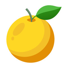 Modern Aromatic Yuzu Fruit Vector Graphic