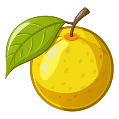 Simple Japanese Citrus Yuzu Fruit Illustration
