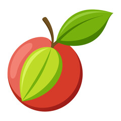 Clean Design Ziziphus Fruit Vector on White