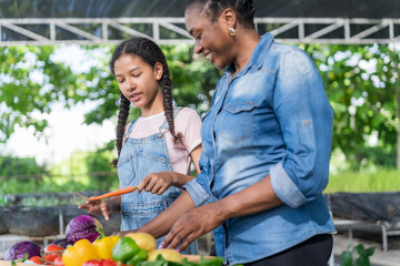 Happy black farmer mother and daughter on vegetable farm for agriculture, business growth and...