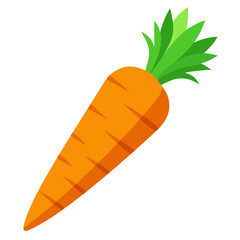 Carrot 3D vector
 white background