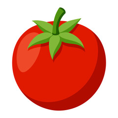 Tomato 3D vector
 white background