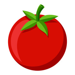 Tomato 3D vector
 white background