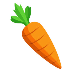 Carrot 3D vector
 white background