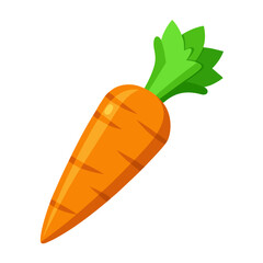 Carrot 3D vector
 white background