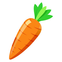 Carrot 3D vector
 white background