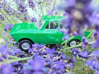 Green Moskvich toy car in the vegetation.