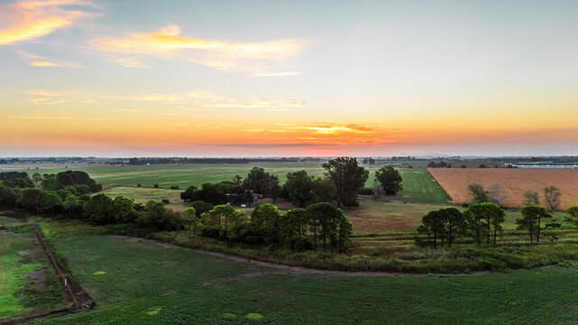 Drone view of a soy and wheat field at sunset in the Pampas, Alvear, Argentina