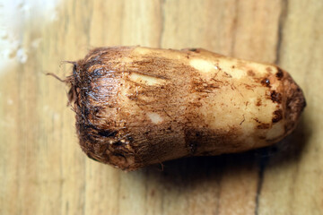Fresh Taro Root Vegetable On Wooden Table Close Up With Background Blur