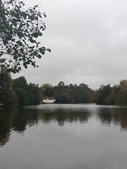 morning on the river