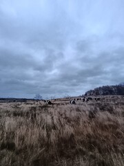 clouds over the mountains