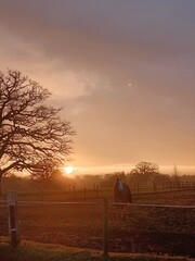 sunset in the country
