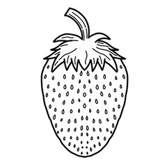 Hand drawn strawberry line art vector illustration. Sketch Strawberry doodle outline