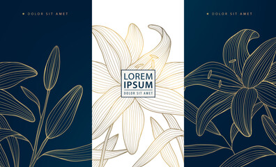 Vector set line gold oriental floral elements, chinese, japanese luxury flower background. Asian style package, wine labels, spring borders, elegant plant ornament.