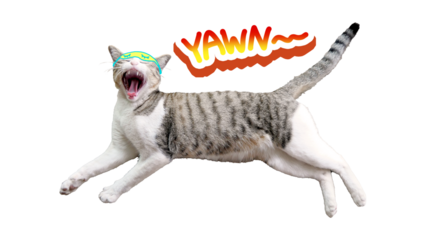Playful Yawning Tabby Cat Wearing Sleep Mask Funny Pet Image Isolated Background