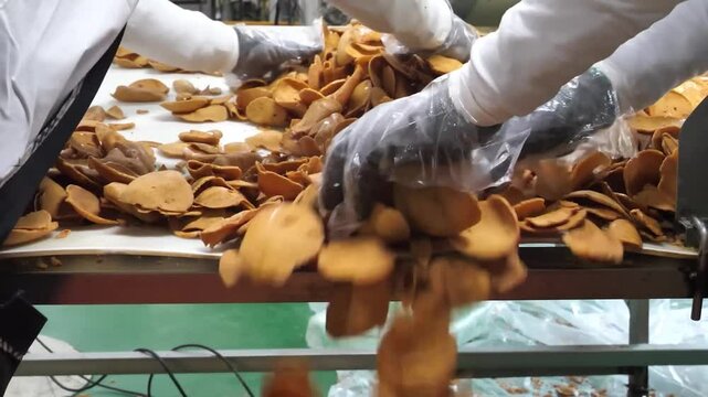 Workers wearing gloves sort freshly made round snacks on a conveyor table in a busy food manufacturing facility focused on quality control.