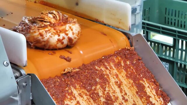 A conveyor belt carries vibrant red kimchi, coated in a bright red-orange seasoning, as part of an industrial food production line. The metal mesh structure of the conveyor allows excess liquid to dra