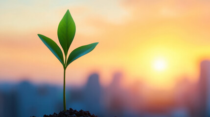 A small green plant is growing in a pot with a city skyline in the background