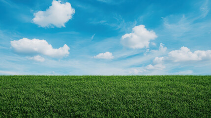 A field of green grass with a blue sky and clouds