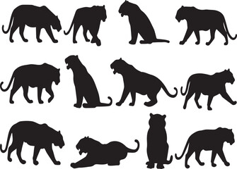 Minimalist Tiger Silhouette – Wildlife Animal Vector Design