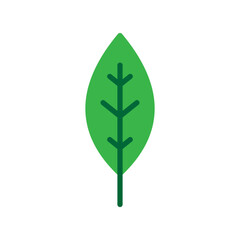 Vector illustration of a leaf in flat style isolated on white background