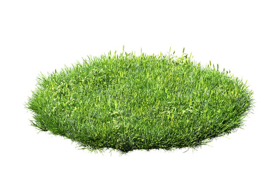 green grass turf isolated on white background