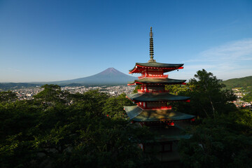 Fototapeta premium Chureito Pagoda overlooking Mount Fuji on a sunny and clear morning in Fujiyoshida, Japan.