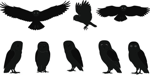 Owl silhouette collection, flying and standing poses, nocturnal bird vector set, wildlife illustration, predator icon design, nature animal graphic