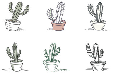 Minimal Cactus Vector Designs Set Cute and Trendy Succulent Illustrations